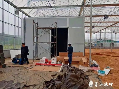 渌口区 工厂化育秧新模式与传统民间工艺的乡村振兴交响