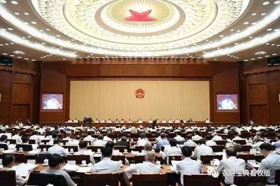 双喜临门！养猪合作社与农村民间工艺迎来政策红利